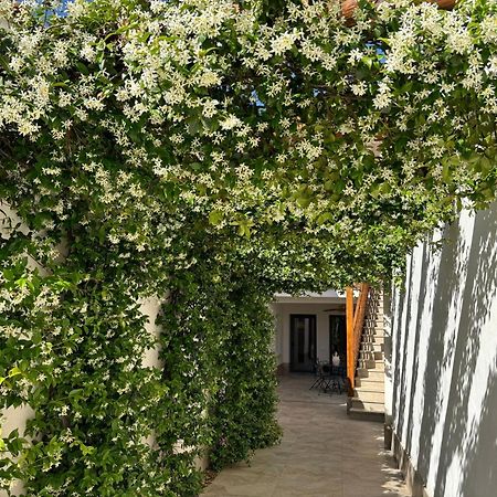 El Patio De Los Jazmines Boutique-House Consuegra Kültér fotó